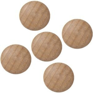 Photos - Other office equipment Legamaster Wooden 2,5x1,55cm 5 pcs.  (7-181725)