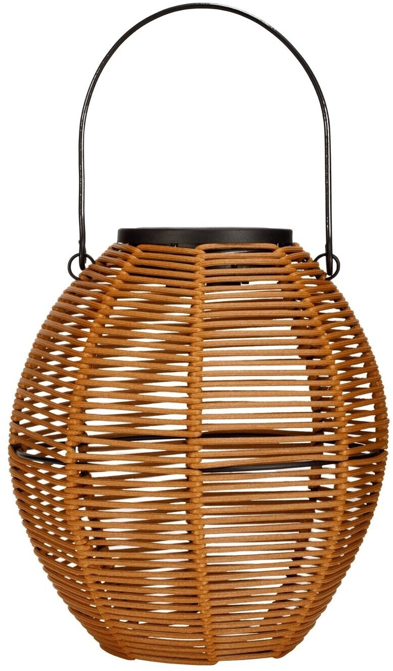 Pauleen 48169