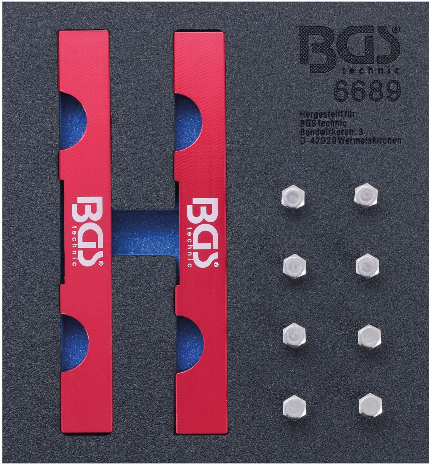 BGS 6689