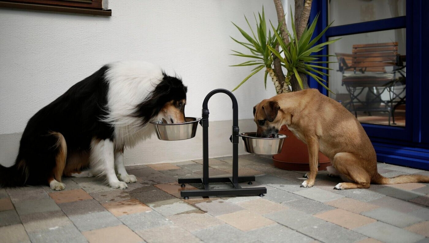 Kerbl Gamelle pour chien Kerbl Gamelle pour chien