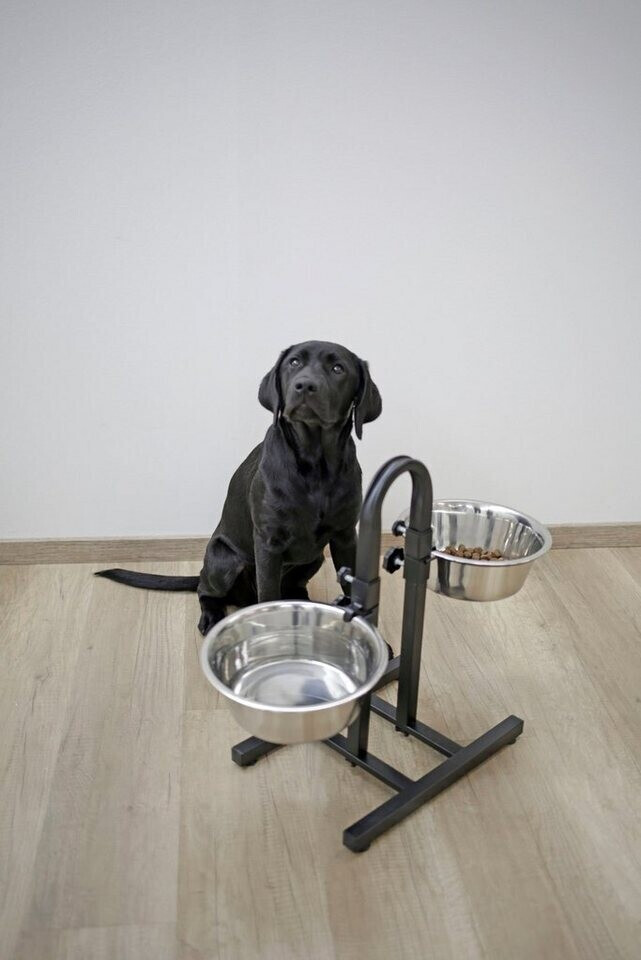 Kerbl Gamelle pour chien Kerbl Gamelle pour chien