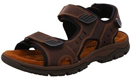 Rohde Men' Sandals (5950) brown