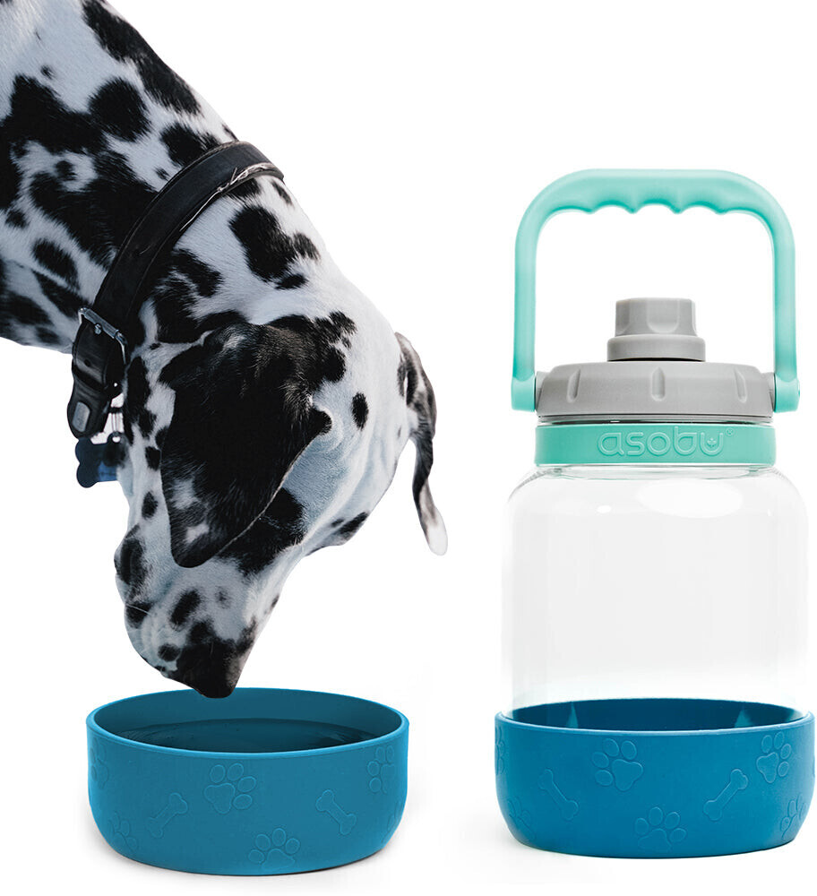 Asobu Gourde pour chien bleu Asobu Gourde pour chien bleu