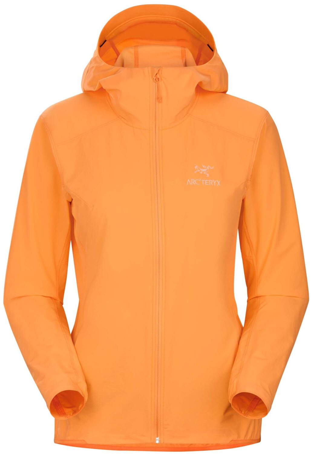 Arc'teryx Gamma SL Hoody Women's (29481) horizon