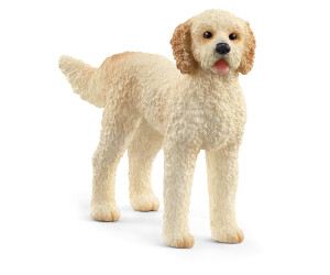 Goldendoodle prix hot sale