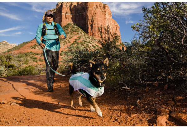 Ruffwear Gilet pour chien L Sage Green Ruffwear Gilet pour chien L Sage Green