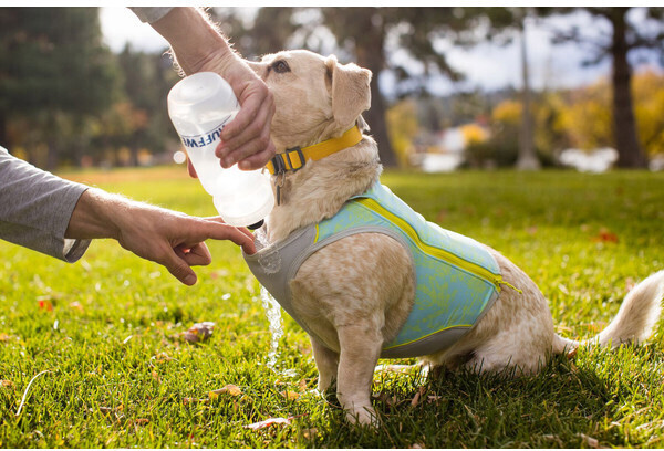 Ruffwear Gilet pour chien XS Blue Mist Ruffwear Gilet pour chien XS Blue Mist