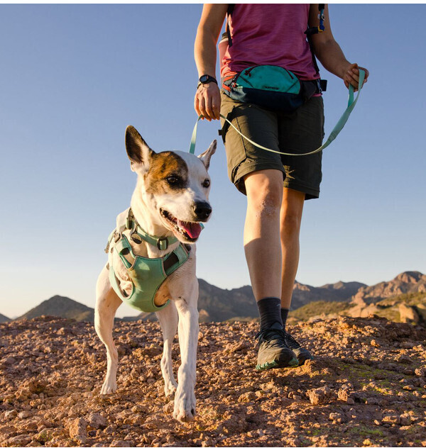Ruffwear Harnais pour chien L-XL Sage Green