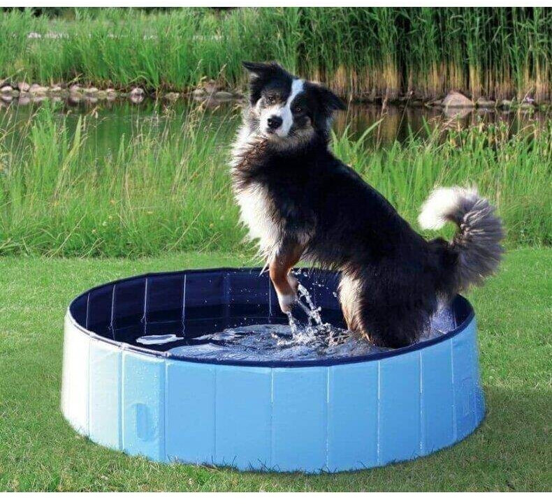 A.I.&E. Piscine pour chien 80x30cm A.I.&E. Piscine pour chien 80x30cm