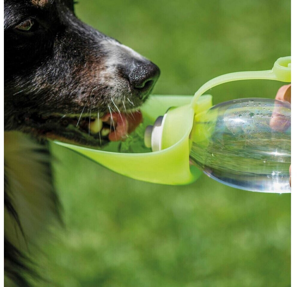 Schecker Gourde pour chien Schecker Gourde pour chien