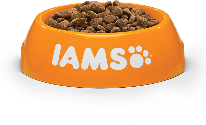 IAMS Croquettes pour chat 10 kg IAMS Croquettes pour chat 10 kg