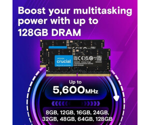 Crucial 8GB DDR5-4800 CL40 (CT8G48C40S5) ab 146.9 € | Vergleiche