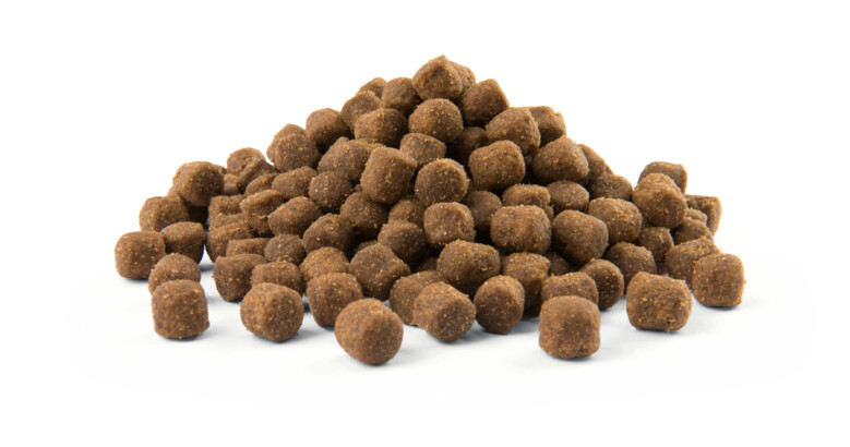 Versele-Laga Croquettes pour chien 2.5 kg Versele-Laga Croquettes pour chien 2.5 kg