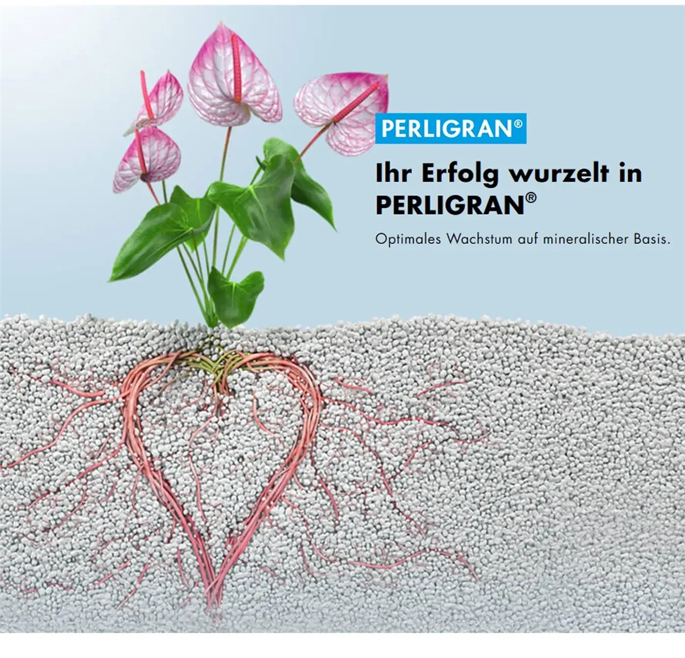 Knauf Insulation Perlite Perligran 100 Liter (85143) ab 13,51 € (April