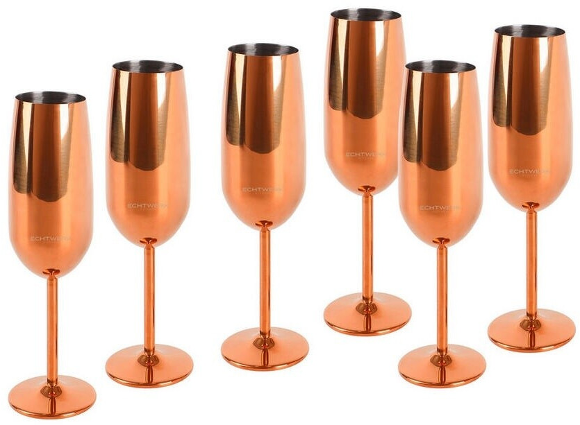Echtwerk Champagne glass stainless steel 250 ml 6 pieces