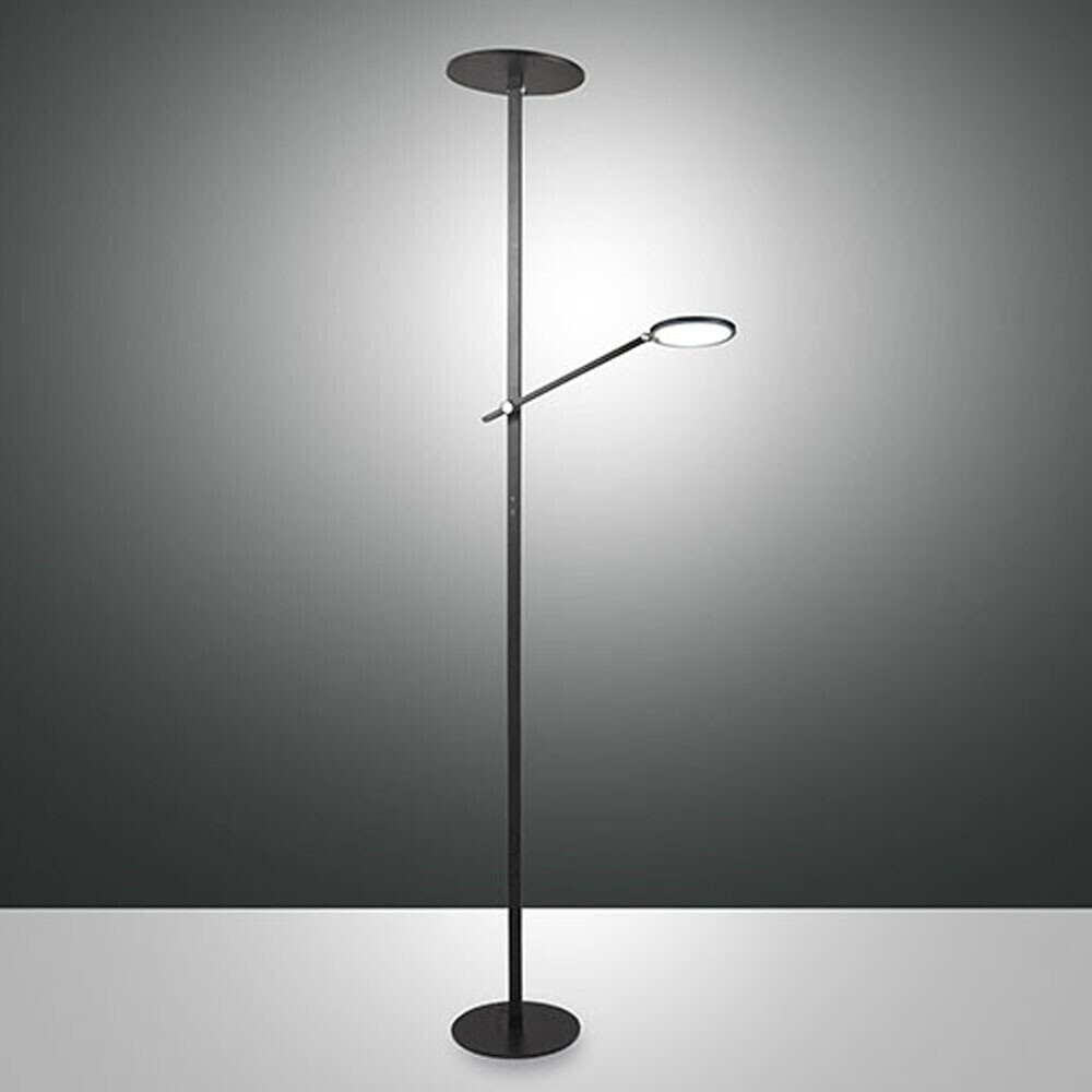 Fabas Luce Regina (3551-10-101)