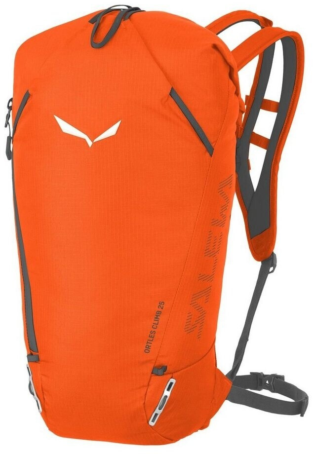 Salewa Ortles Climb 25