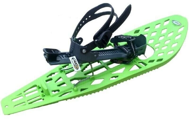 Morpho Trimalp light vert