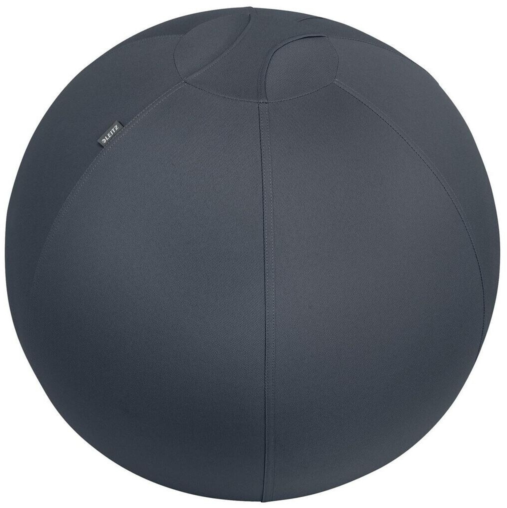 Leitz Ergo Cosy Active Sitting Ball grey