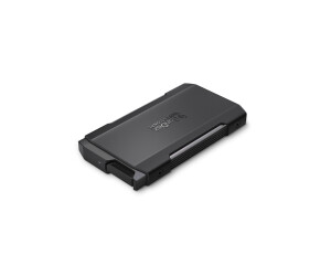 SanDisk Professional Pro-Blade Transport SSD 1To - Disque dur ssd