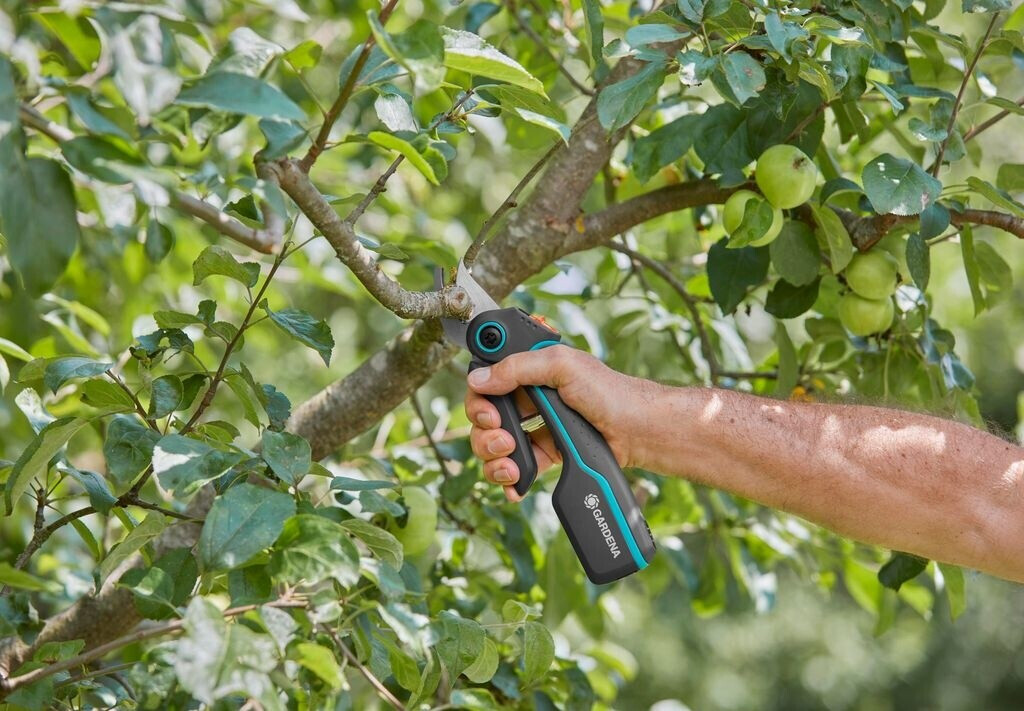 Gardena AkkuGartenschere 1222220 ab 85,00 € (April 2025 Preise