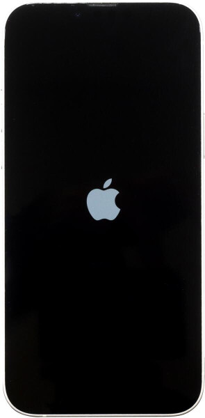 Apple iPhone 14 Plus 256GB Polarstern, Bild 3