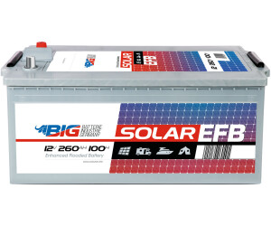 BIG Professional EFB C100 (BIGEFB260) ab 279,90 €