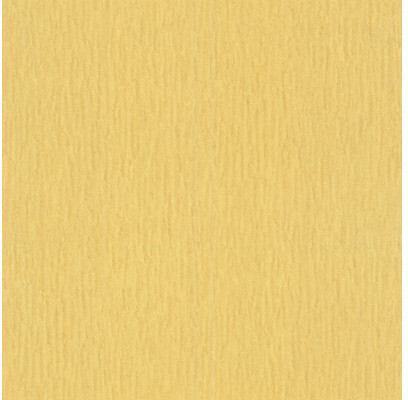 Rasch 570083