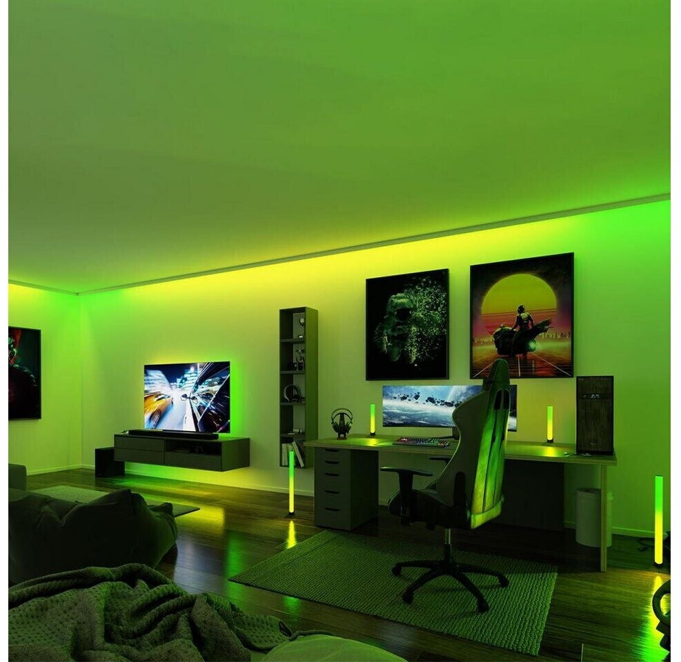 Paulmann EntertainLED Lightbar Dynamic RGB 30cm 2erSet (78878) ab 23,99 € |  Preisvergleich bei