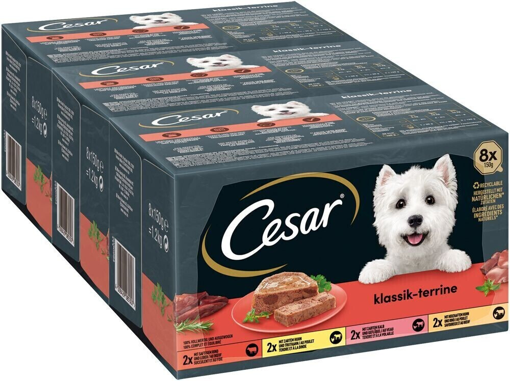 Cesar Multipack Classic Terrine Wet 24x150g