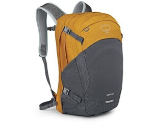 Osprey shop nebula grey