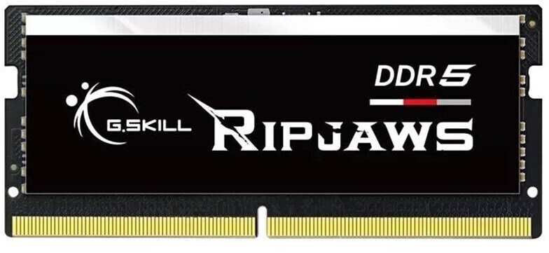 G.Skill Ripjaws 16 Go DDR5-4800 CL34 (F5-4800S3434A16GX1-RS)