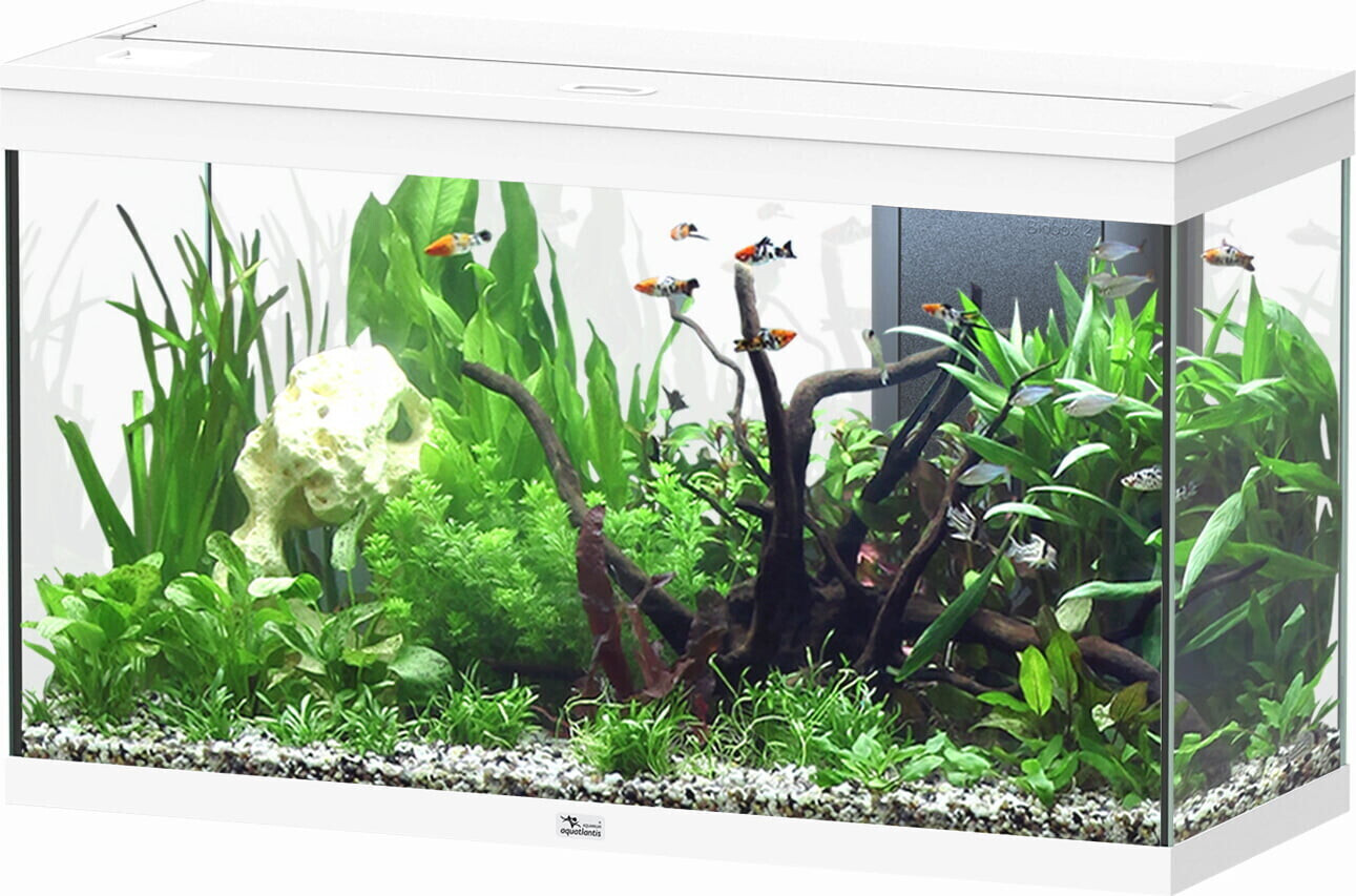 Aquatlantis Splendid 200