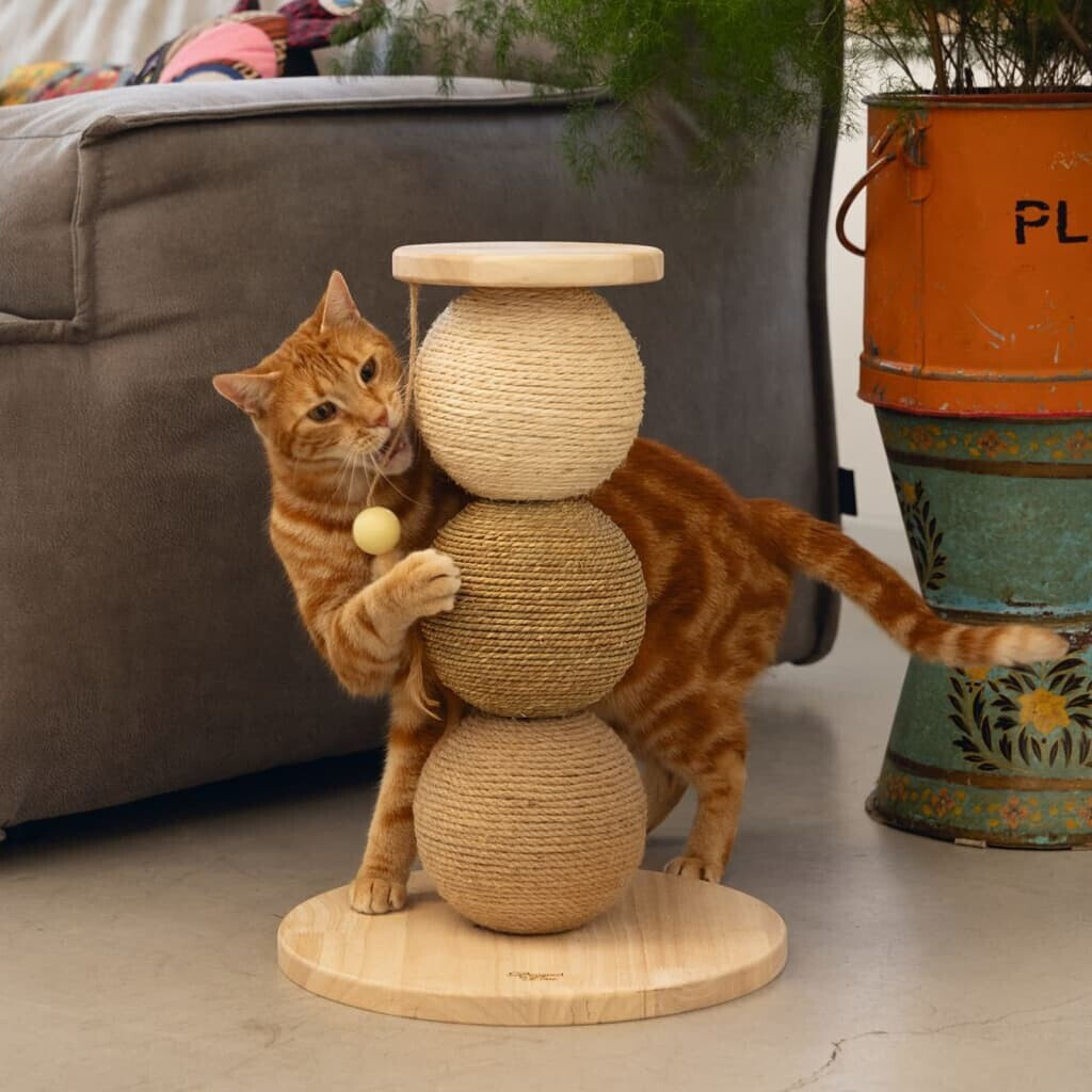 Designed by Lotte Arbre à chat