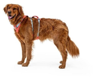 Ruffwear pink harness clearance