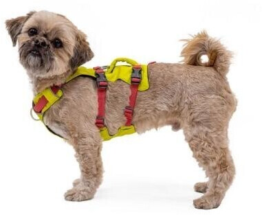 Ruffwear Harnais pour chien L-XL Lichen Green Ruffwear Harnais pour chien L-XL Lichen Green