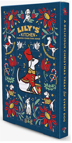 Photos - Other Jewellery Lilys Kitchen Lily's Kitchen Lily's Kitchen Advent calendar for dogs 100 g 