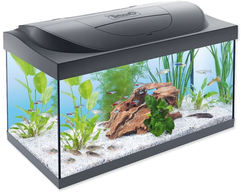 Tetra Starter Line LED 54L Aquarium