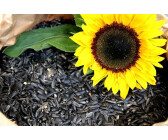 Futterbauer Sonnenblumenkerne schwarz 2022 25kg
