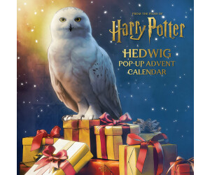 Buy Titan Books Harry Potter: Hedwig Pop up Advent Calendar from £24 33