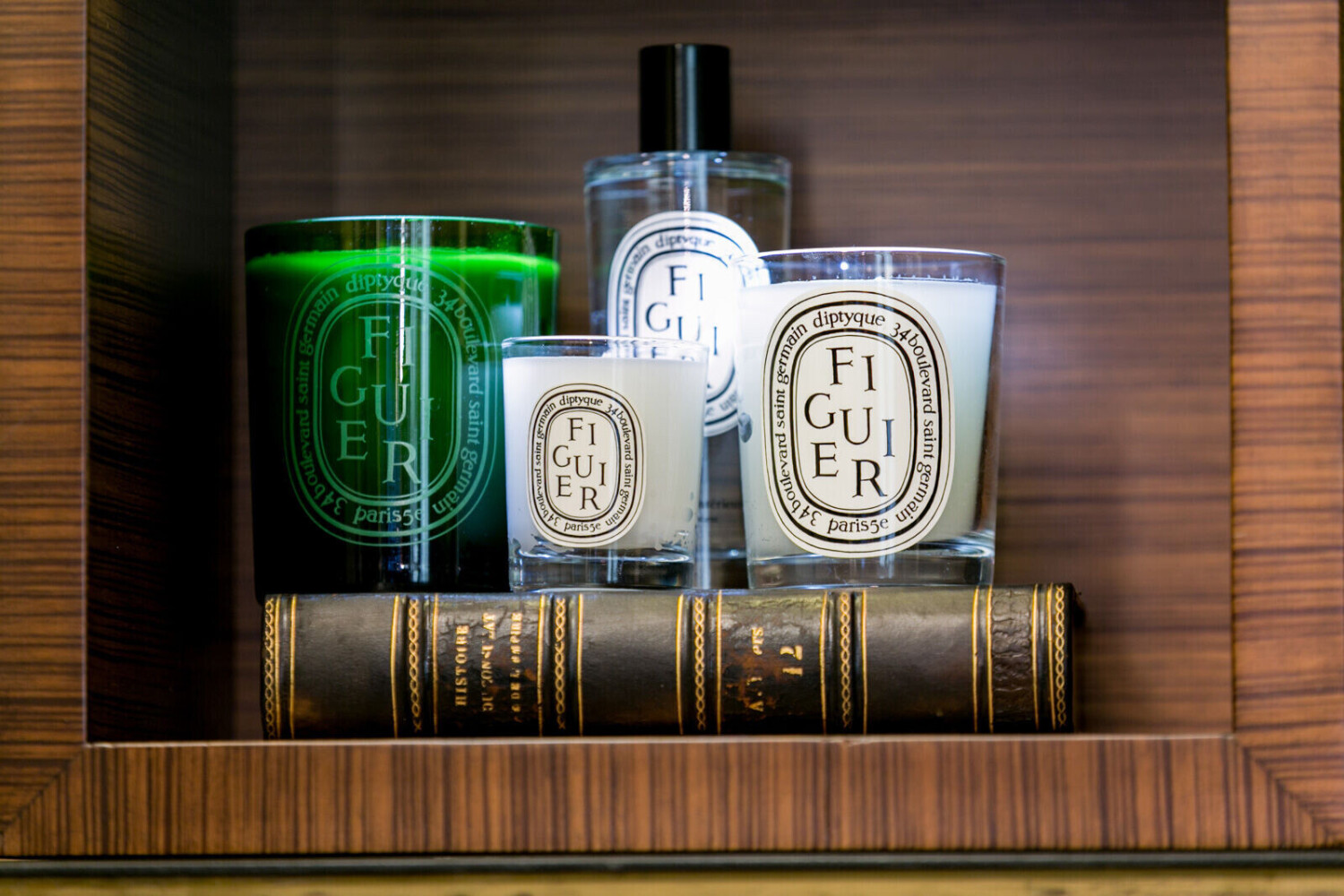 Diptyque Scented Candle Figuier 300g ab 85,00 € | Preisvergleich bei ...