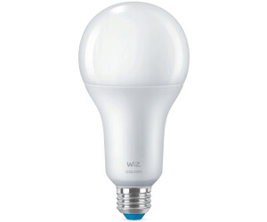 Wiz LED WiFi Bulb A80 E27 18,5W/2452lm RGBTW (929003500001) au meilleur  prix sur