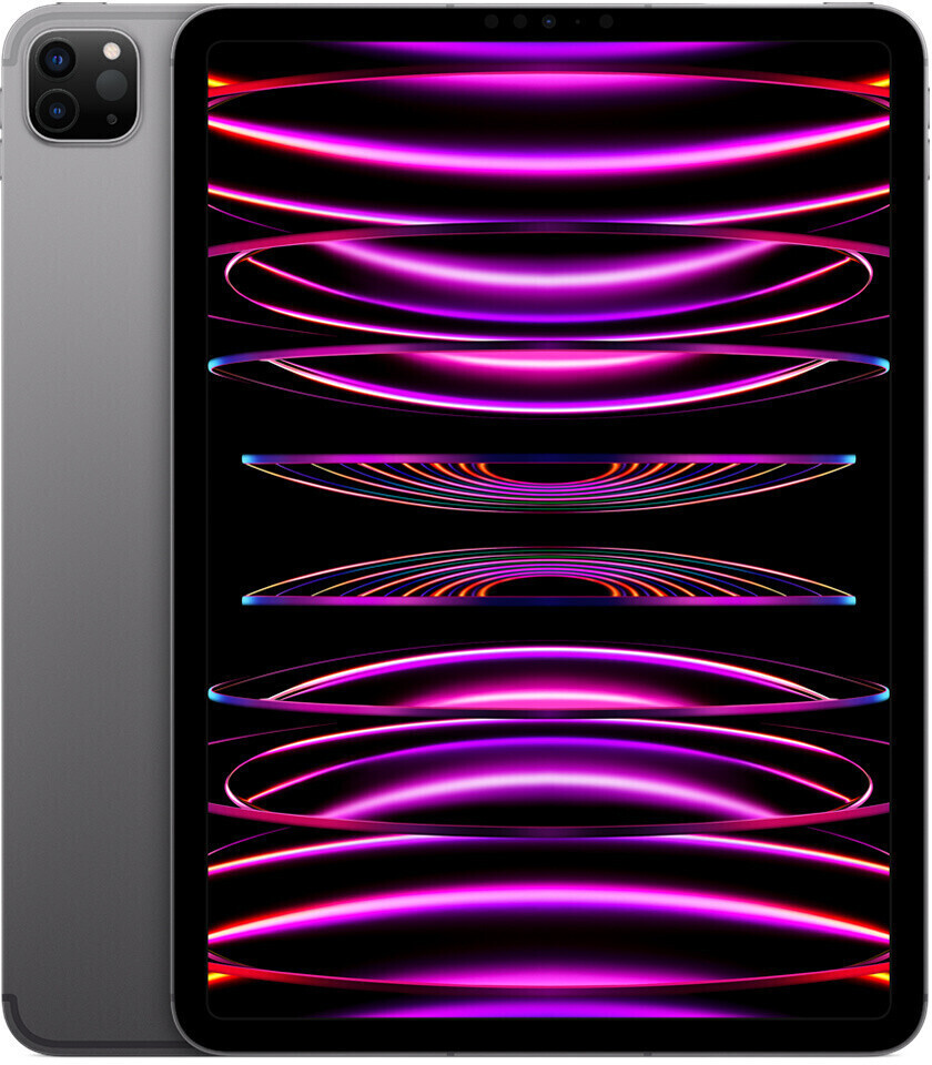 Apple iPad Pro 11 512 Go Wi-Fi + 5G gris sidéral (2022)