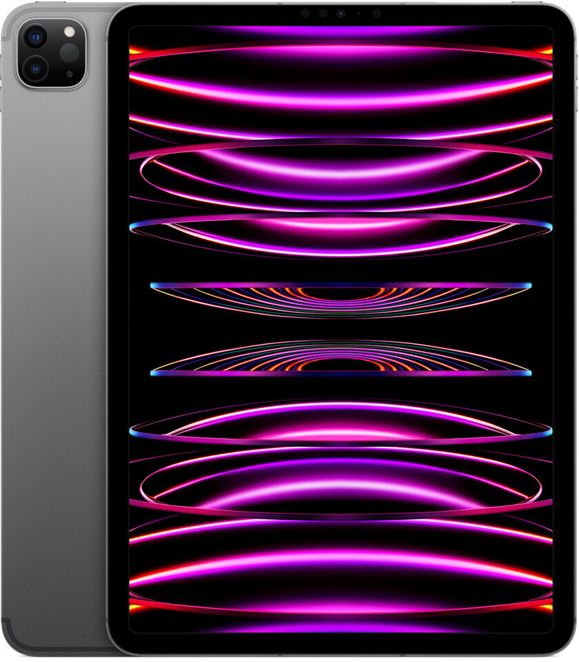 Apple iPad Pro 11 128 Go Wi-Fi gris sidéral (2022)