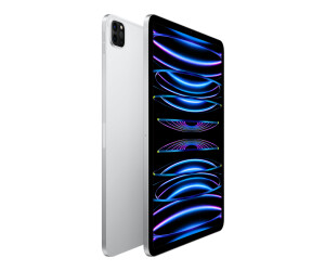 Apple iPad Pro 11 256GB WiFi argento (2022) a € 1.047,49 (oggi) | Migliori  prezzi e offerte su idealo