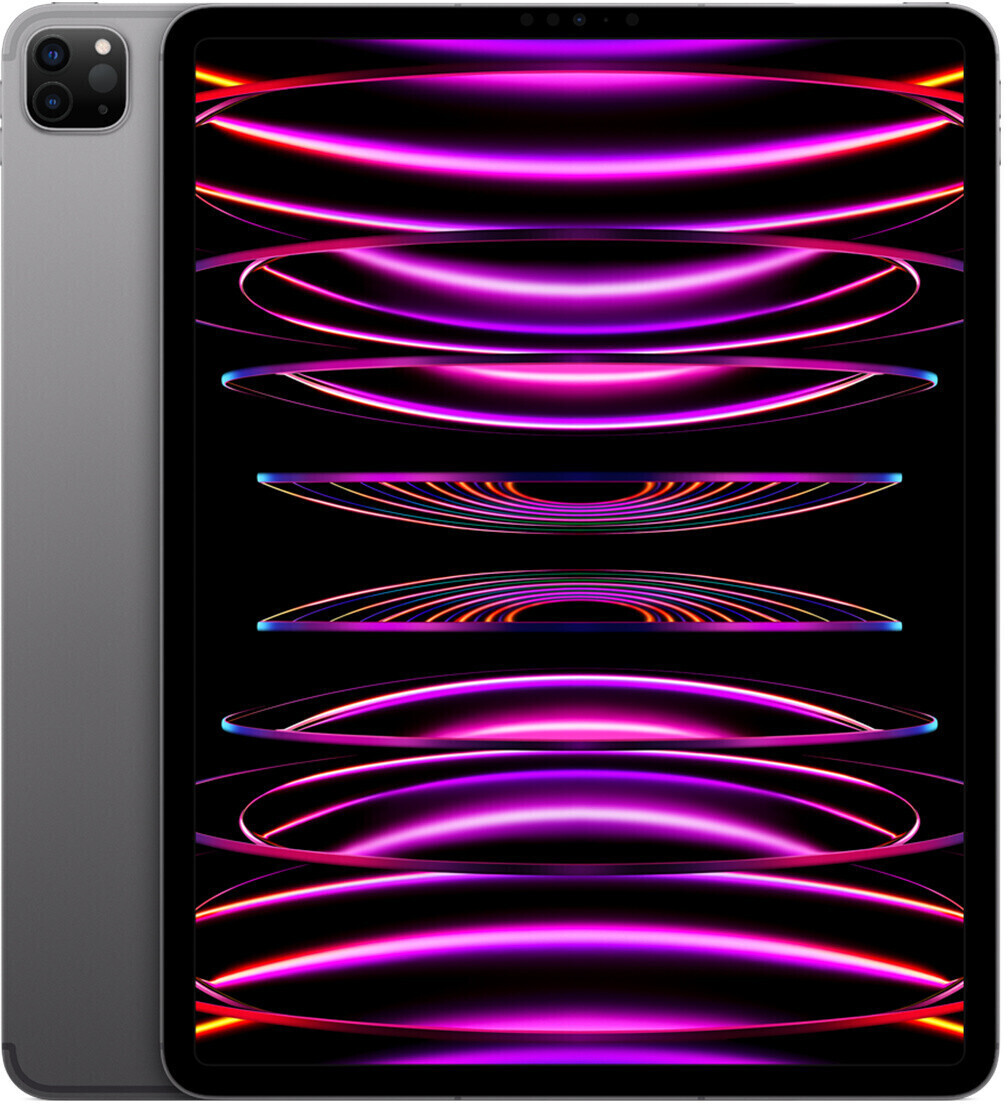 Apple iPad Pro 12.9 256 Go Wi-Fi + 5G gris sidéral (2022)