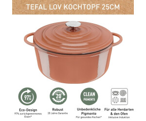 Tefal LOV Kochtopf 25cm ab 94,41 € (Februar 2024 Preise) | Preisvergleich  bei