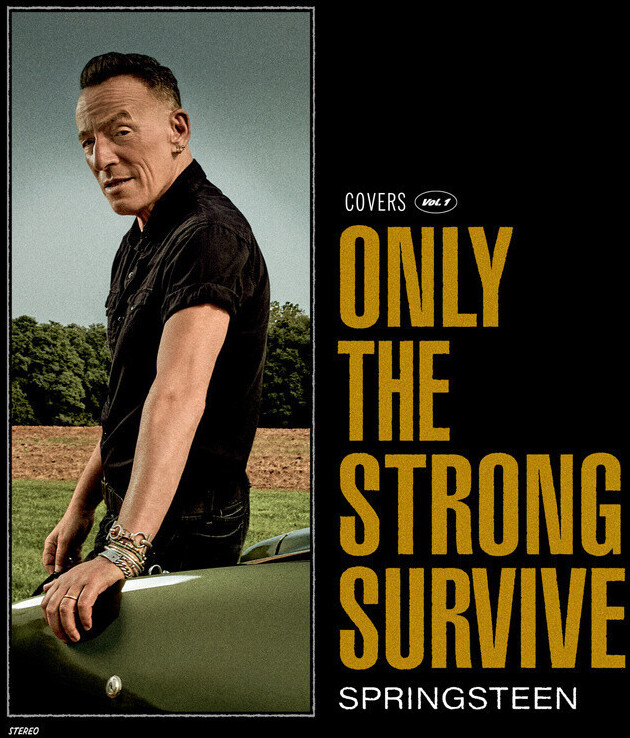 Bruce Springsteen - Only The Strong Survive (2LP) (Vinyl)