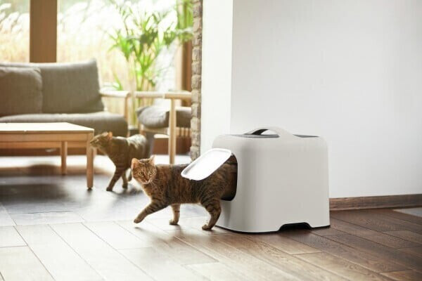 Rotho Bac à litière pour chat Horizon Blue Rotho Bac à litière pour chat Horizon Blue