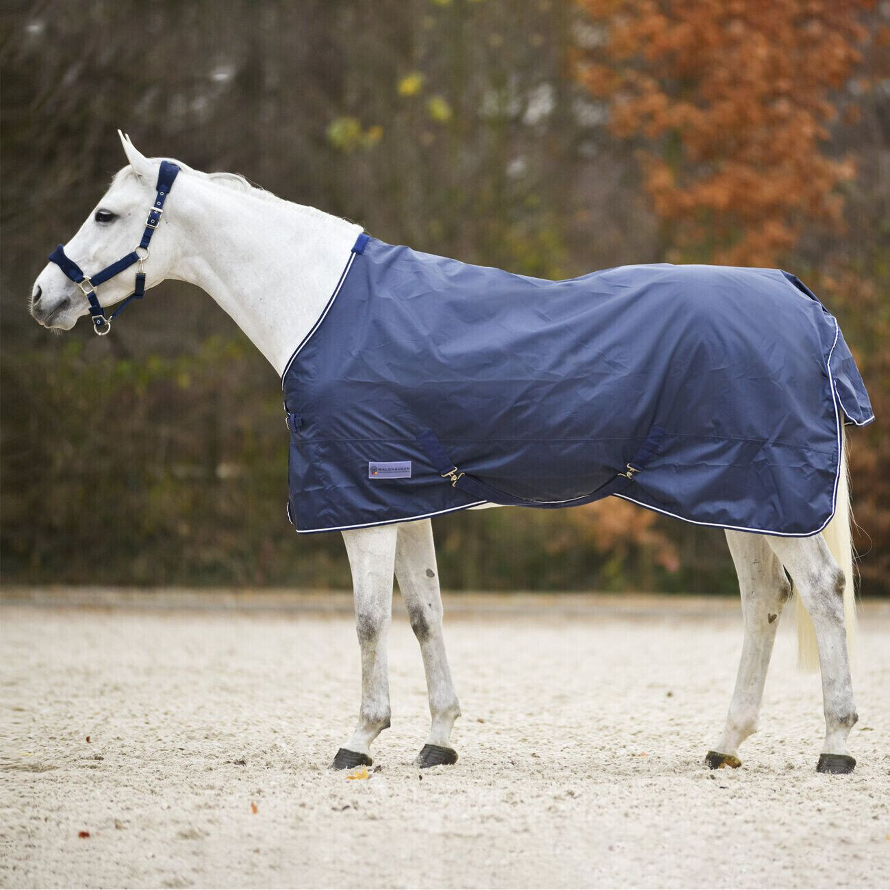 Waldhausen Rain Rug Economic
